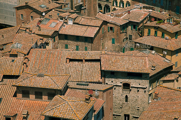 Typical house roofs in Siena, Italy (Misc) Photo Download