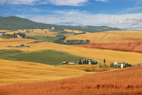 Rural landscape, Italy (Misc) Photo Download