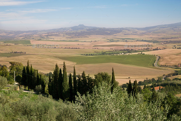 Fields in Tuscany (Misc) Photo Download