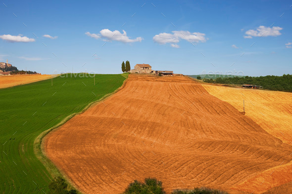 Fields of Tuscany (Misc) Photo Download