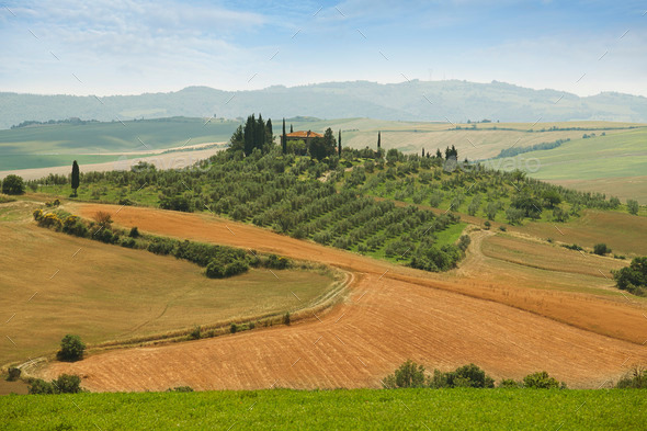 Under the Tuscan sky, Italy (Misc) Photo Download