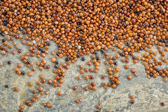 kaniwa grain (baby quinoa)