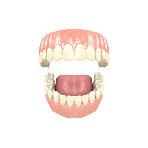 3DOcean Mouth Teeths Gums Tongue 11227287 3DOcean Mouth Teeths Gums Tongue 11227287
