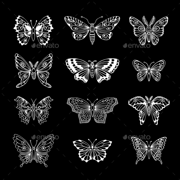 GraphicRiver Set Of Butterflies Decorative Isolated Silhouettes 11230000 GraphicRiver Set Of Butterflies Decorative Isolated Silhouettes 11230000