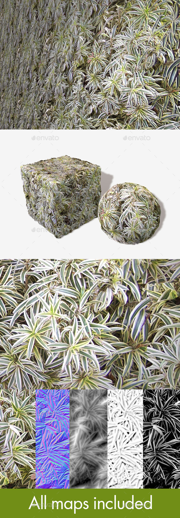 3DOcean Spider Plants Seamless Texture 11239360 3DOcean Spider Plants Seamless Texture 11239360