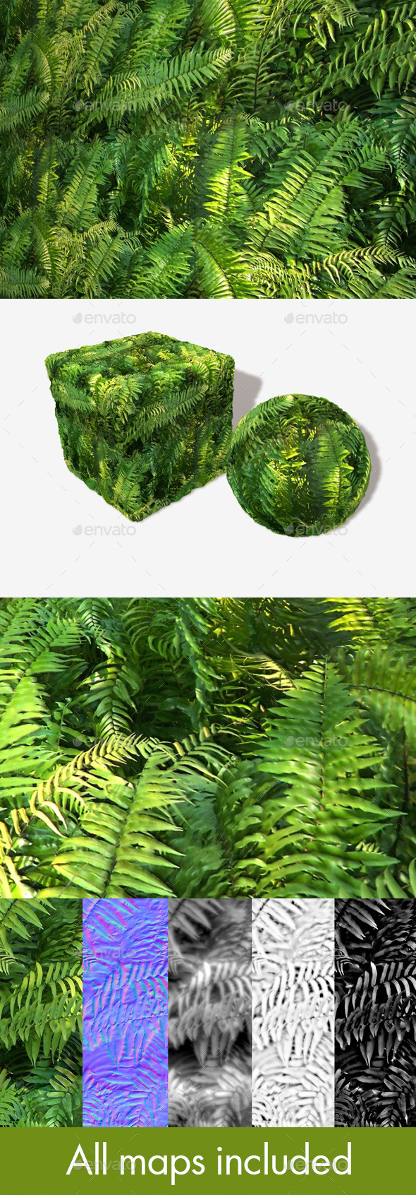 3DOcean Jungle Fern Seamless Texture 11251691 3DOcean Jungle Fern Seamless Texture 11251691