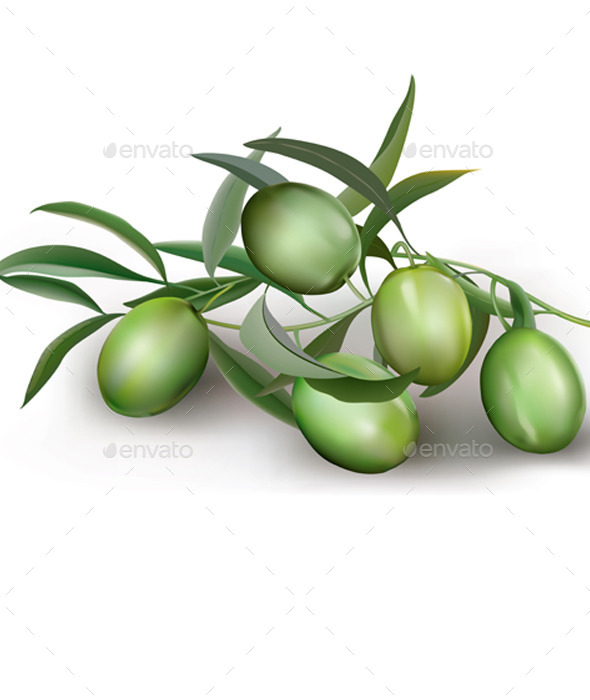 GraphicRiver Green Olives 11252880 GraphicRiver Green Olives 11252880