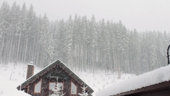 Strong Snow Comes On The Background Of Christmas Strong Snow Comes On The Background Of Christmas