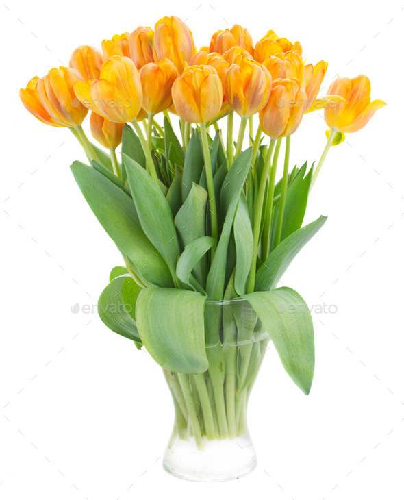 bouquet of rorange tulip flowers (Misc) Photo Download