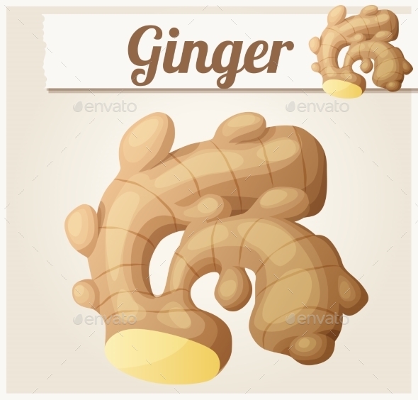 GraphicRiver Ginger Detailed Vector Icon 11259410 GraphicRiver Ginger Detailed Vector Icon 11259410