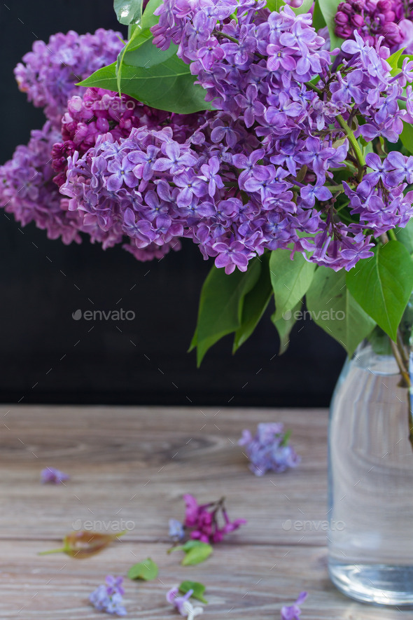 Lilac flowers on black (Misc) Photo Download