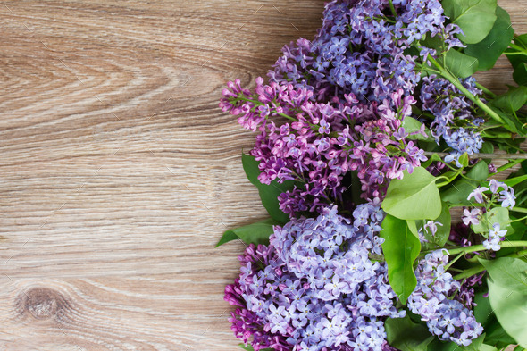 Lilac in vase (Misc) Photo Download