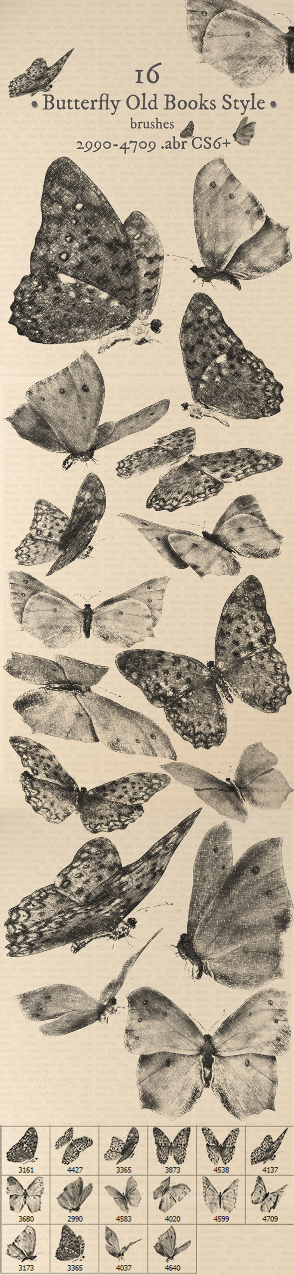 GraphicRiver Butterfly Old Book Style Brushes 11261147 GraphicRiver Butterfly Old Book Style Brushes 11261147