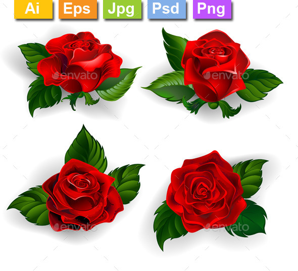 GraphicRiver Set of Red Roses 11265117 GraphicRiver Set of Red Roses 11265117