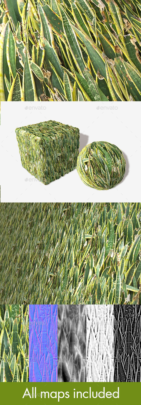 3DOcean Desert Plants Seamless Texture 11273778 3DOcean Desert Plants Seamless Texture 11273778