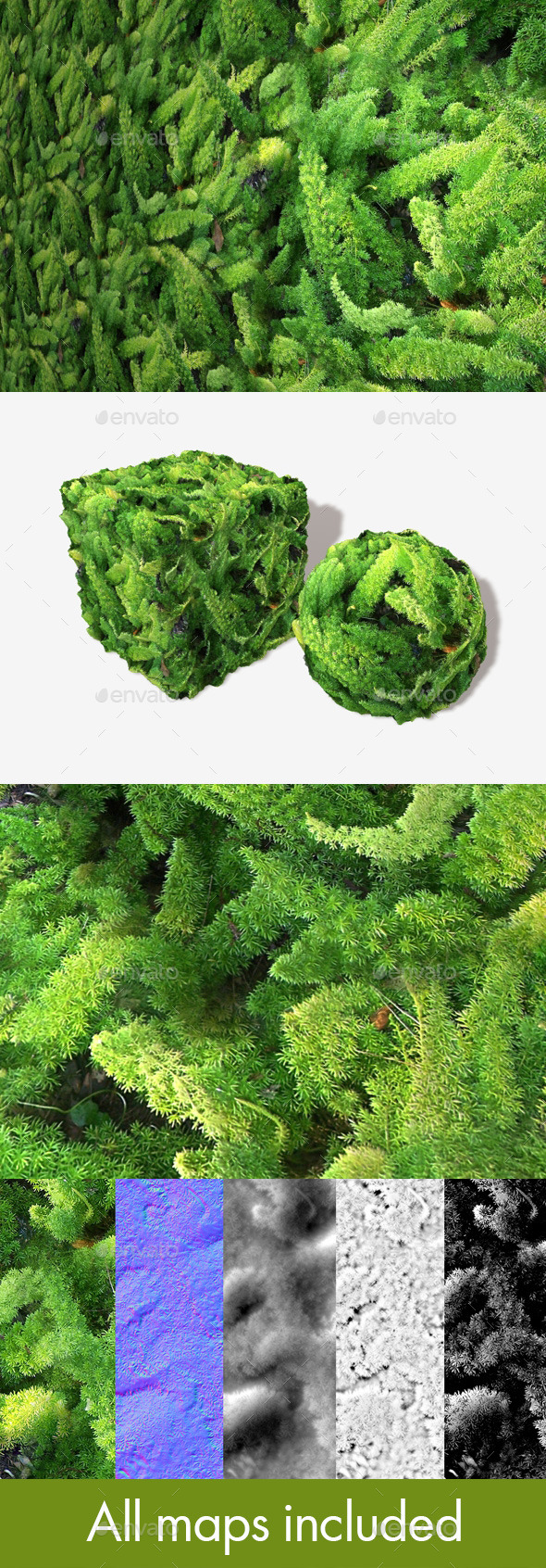 3DOcean Furry Jungle Plants Seamless Texture 11273838 3DOcean Furry Jungle Plants Seamless Texture 11273838