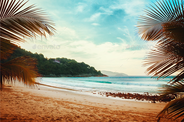 Tropical beach. Vintage effect.