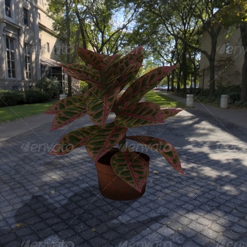 plant - 3DOcean Item for Sale