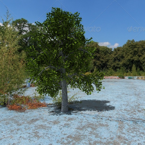 tree tree