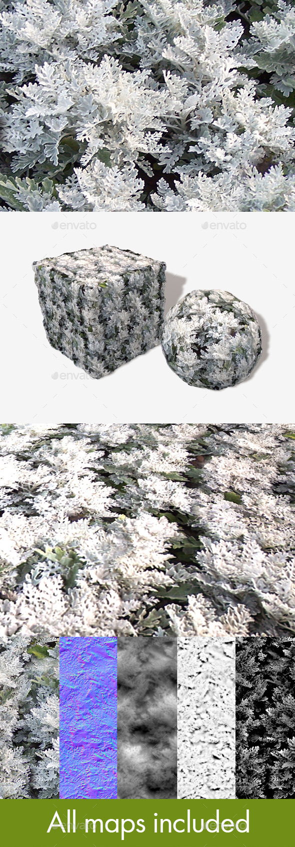 3DOcean White Fern Plant Seamless Texture 11300518 3DOcean White Fern Plant Seamless Texture 11300518