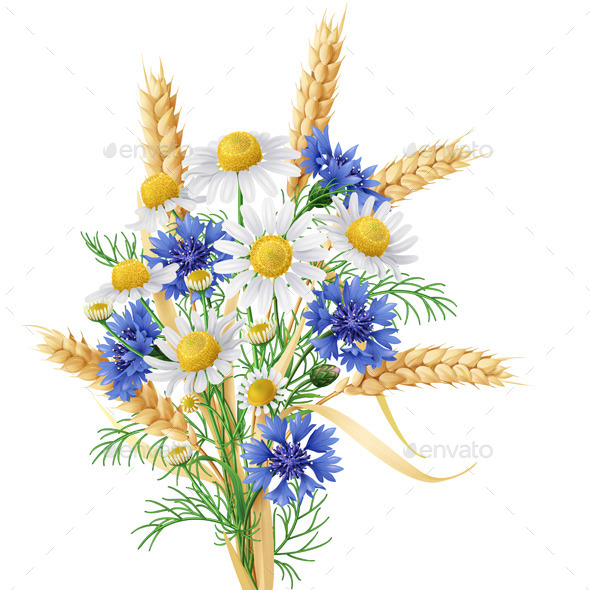 GraphicRiver Wild Chamomile Flowers 11301846 GraphicRiver Wild Chamomile Flowers 11301846