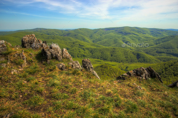 Forested Hills Valley (Misc) Photo Download