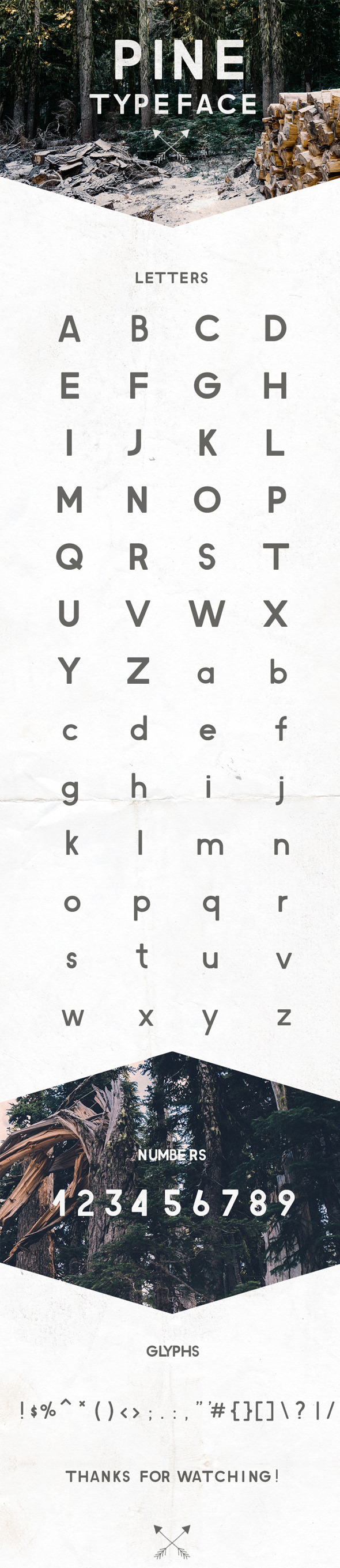 GraphicRiver Pine Typeface 11265882 GraphicRiver Pine Typeface 11265882