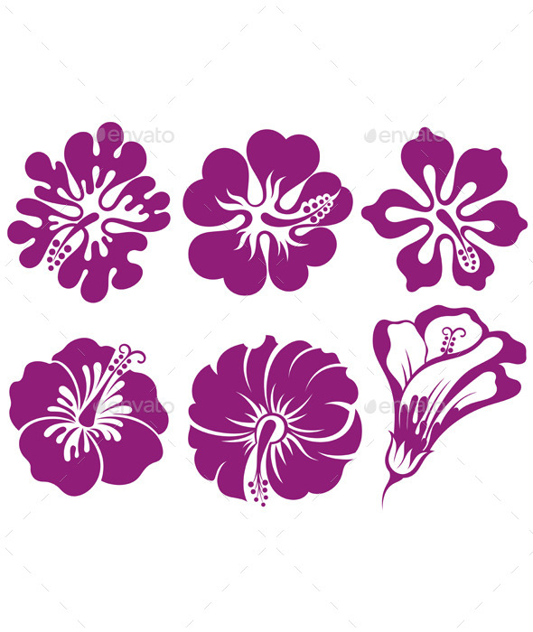 GraphicRiver Hibiscus Silhouettes Vector Set 11309234 GraphicRiver Hibiscus Silhouettes Vector Set 11309234