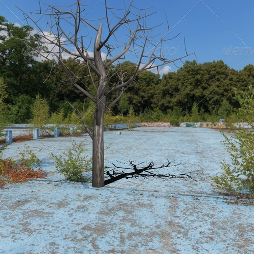 dead tree - 3DOcean Item for Sale