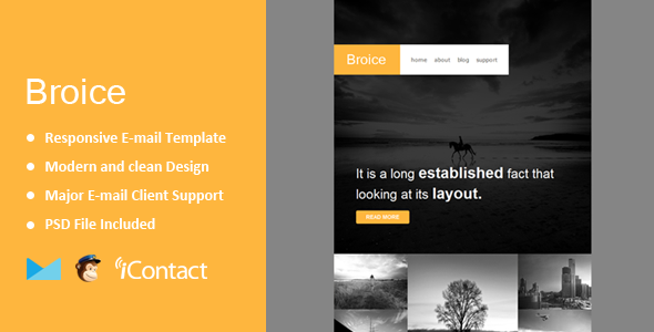 Broice - Responsive E-mail Template + Themebuilder Access