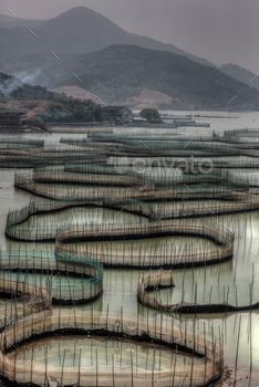 prawn rings and mountains