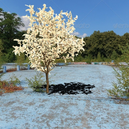 blossom tree - 3DOcean Item for Sale