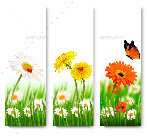 Nature Banners With Colorful Summer Flowers (Flowers & Plants)