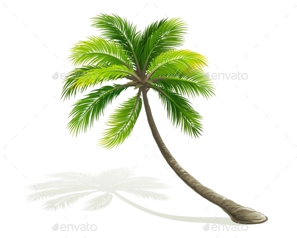 GraphicRiver Palm Tree 11327884 GraphicRiver Palm Tree 11327884
