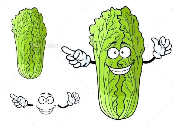 GraphicRiver Healthy Chinese Character Cabbage With Happy Face 11350892 GraphicRiver Healthy Chinese Character Cabbage With Happy Face 11350892