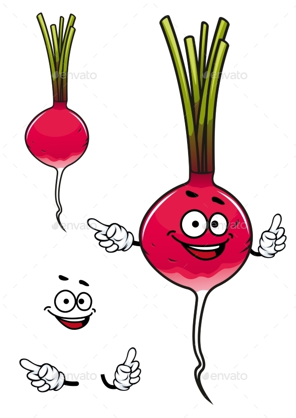 GraphicRiver Happy Fresh Cartoon Radish Vegetable 11350895 GraphicRiver Happy Fresh Cartoon Radish Vegetable 11350895