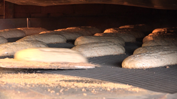 Baker Baker