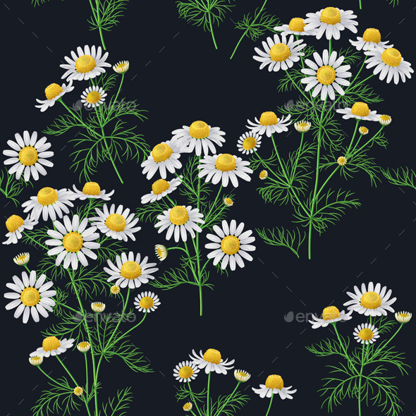 GraphicRiver Wild Chamomile Pattern 11371842 GraphicRiver Wild Chamomile Pattern 11371842