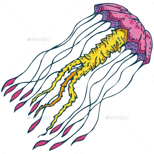 GraphicRiver Pink Giant Jellyfish 11376437 GraphicRiver Pink Giant Jellyfish 11376437