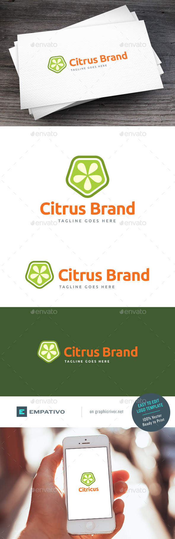 GraphicRiver Citrus Brand Logo Template 11378344 GraphicRiver Citrus Brand Logo Template 11378344