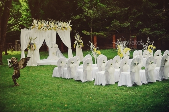 Beautiful wedding cerremony in forest. (Misc) Photo Download