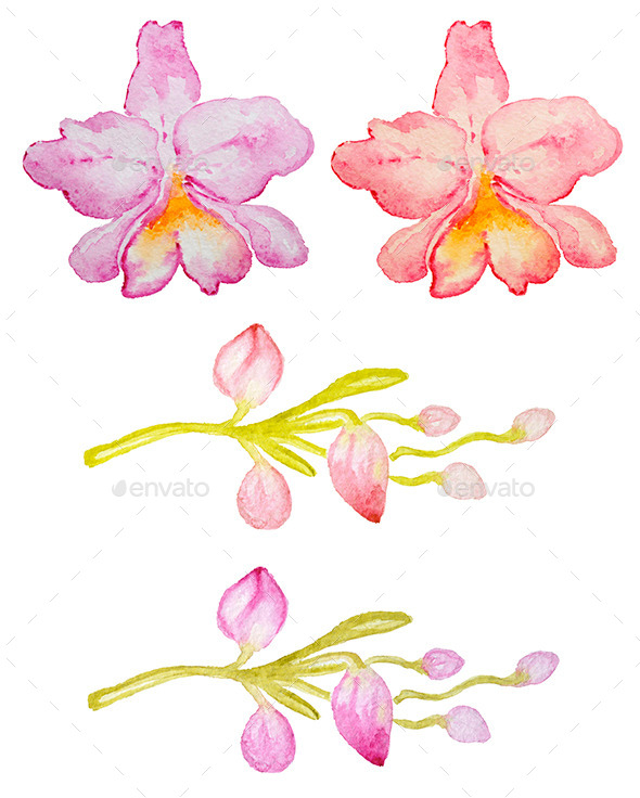 GraphicRiver Pink and Red Orchids 11322602 GraphicRiver Pink and Red Orchids 11322602