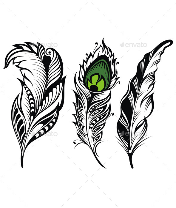 GraphicRiver Vector Isolated Feathers 11382080 GraphicRiver Vector Isolated Feathers 11382080