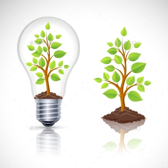GraphicRiver Green Plant In Light Bulb With Reflection 11387065 GraphicRiver Green Plant In Light Bulb With Reflection 11387065