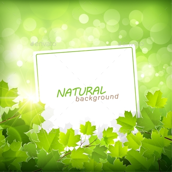 GraphicRiver Natural Green Background 11387214 GraphicRiver Natural Green Background 11387214