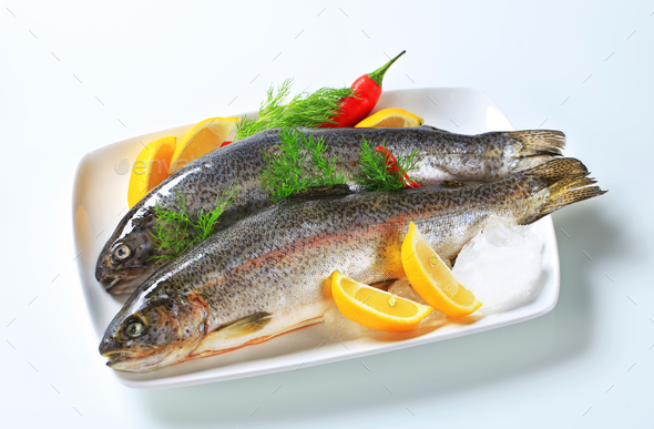 Two fresh trout (Misc) Photo Download