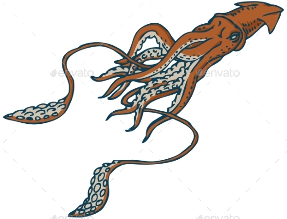 GraphicRiver Giant Squid 11390176 GraphicRiver Giant Squid 11390176