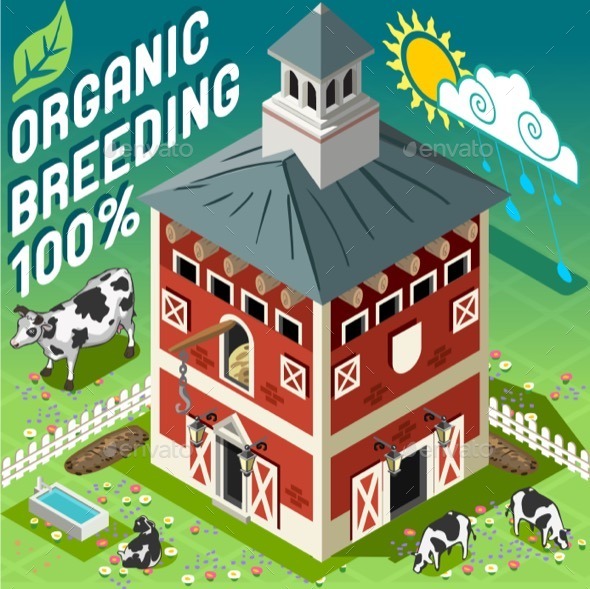 GraphicRiver Isometric Cowshed Organic Breeding 11395401 GraphicRiver Isometric Cowshed Organic Breeding 11395401