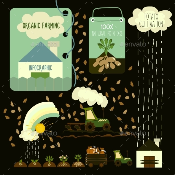 GraphicRiver Potato Cultivation Infographics 11400545 GraphicRiver Potato Cultivation Infographics 11400545