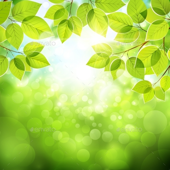 Natural Background with Leaves (Seasons)